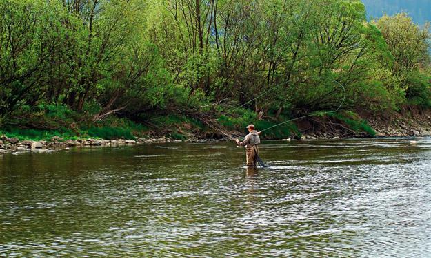 Spec Fischen / Bild: Shutterstock langen Leine