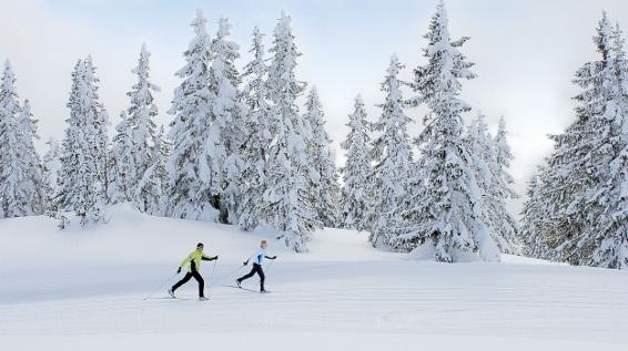 Voll in der Spur: Die ersten Langlaufstrecken im Tiroler Pillerseetal sind in Betrieb / Bild: TVB Pillerseetal Voll in der Spur: Die ersten Langlaufstrecken im Tiroler Pillerseetal sind in Betrieb / Bild: TVB Pillerseetal
