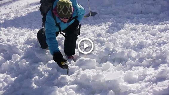 Wie funktioniert eine LVS-Suche?