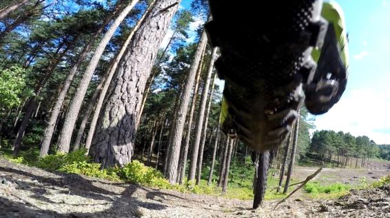 Mittendrin: Klare Worte zum Forststraßen-Streit / Bild: iStock / fire-and-ice