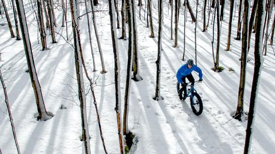 Mittendrin: Kaltstart in die MTB-Saison / Bild: iStock / GROGL