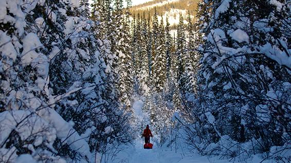 Montane Yukon Arctic Ultra 2018: Ein Ultramarathon für Verrückte? / Bild: Joe Bishop