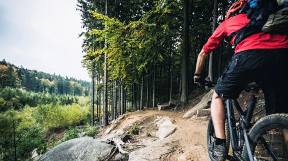 Mittendrin: Über Vorjahresmodelle und Must-haves / Bild: iStock / blyjak Mittendrin: Über Vorjahresmodelle und Must-haves / Bild: iStock / blyjak