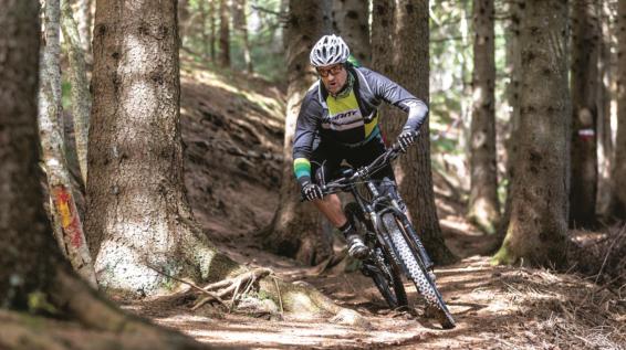 Mountainbiken auf Forststraßen: Wohin geht der Trend? / Bild: Erwin Haiden Mountainbiken auf Forststraßen: Wohin geht der Trend? / Bild: Erwin Haiden
