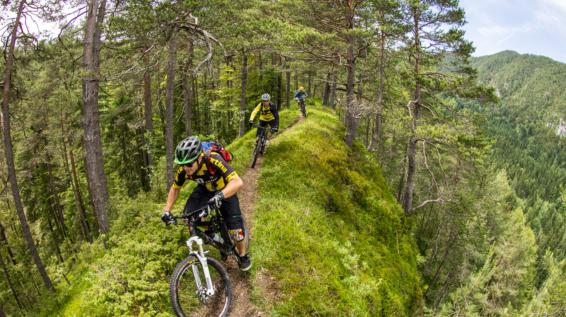 Petzen Trail Park: Wo der Flow zu Hause ist / Bild: Tourismusregion Klopeiner See - Südkärnten Petzen Trail Park: Wo der Flow zu Hause ist / Bild: Tourismusregion Klopeiner See - Südkärnten