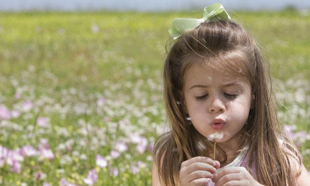 Pollensaison 2011 Rekordjahr