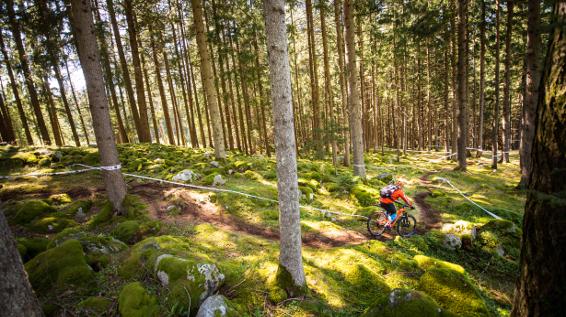 Mountainbiken in der Region Kronplatz / Bild: TVB Kronplatz / Harald Wisthaler Mountainbiken in der Region Kronplatz / Bild: TVB Kronplatz / Harald Wisthaler