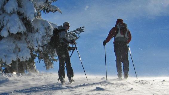Erfolgreich umgesattelt: Skitourengeher statt Alpinskifahrer / Bild: Sattelbergalm Erfolgreich umgesattelt: Skitourengeher statt Alpinskifahrer / Bild: Sattelbergalm