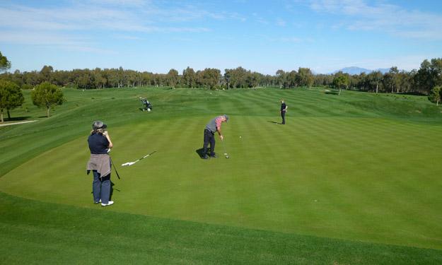 Strawberry Tour organisiert