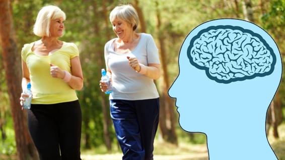 Grazer Studie: Bewegung hält das Gehirn jung / Bild: iStock Grazer Studie: Bewegung hält das Gehirn jung / Bild: iStock