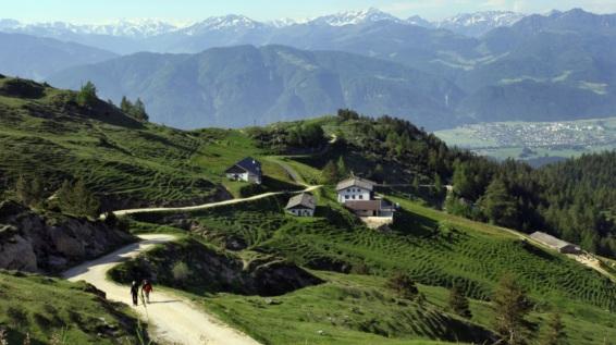 Wandern in den Tiroler Alpen: Zwischen Adlerweg und Tropfsteinhöhle / Bild: Hannes Dabernig