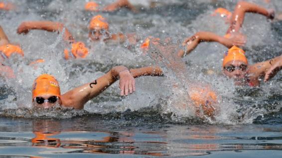 IRONMAN European Championship 2014: Olympiasieger gegen zwei Weltmeister / Bild: GEPA IRONMAN European Championship 2014: Olympiasieger gegen zwei Weltmeister