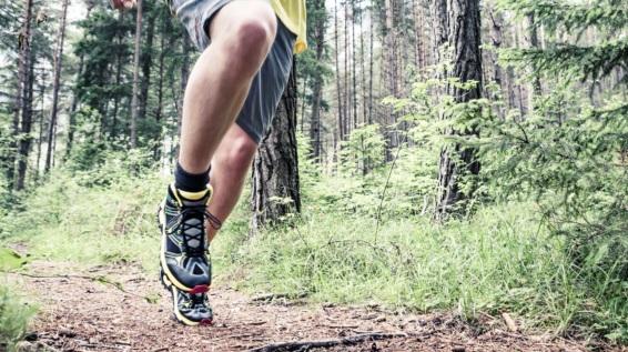 Natur statt Fitnessstudio / Bild: Dachstein Training im Freien: Bau dir dein Freiluft-Fitnessstudio Outdoor Fitness Training ohne Gewichte