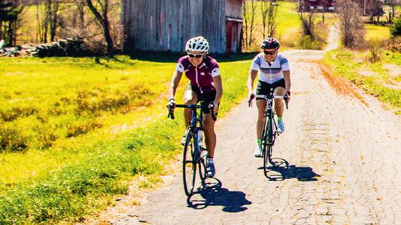 Rennrad und Komfort: Bequeme Tempomacher / Bild: Cannondale