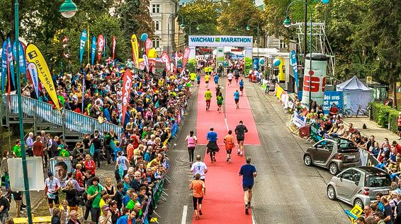 WACHAUmarathon 2014: Tempomacher powered by SPORTaktiv / Bild: WACHAUmarathon