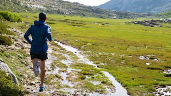 Trailrunning: Läuft ein Städter auf den Berg / Bild: Salomon
