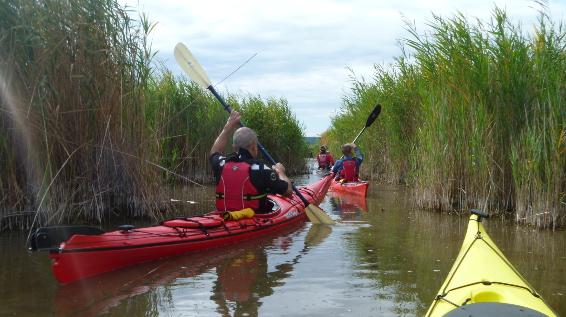 Im Interview: Drei Wassersportlehrer über ihre Begeisterung fürs kühle Nass / Bild: Thomas Aigner (privat)