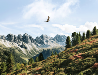 Nature-Watch-Touren: Die Natur einmal "anders" erleben © Hersteller / Swarovski Optik Nature-Watch-Touren: Die Natur einmal "anders" erleben