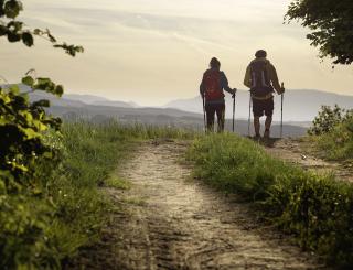 So wanderbar: Vielfältige Weitwanderwege erwarten dich in den Wiener Alpen © Tourismusregion / Wiener Alpen / Lierzer / Zeit für eine Auszeit: Die Wiener Alpen in Niederösterreich locken mit herrlichen weiten Wegen durch die Natur und mit landschaftlicher Vielfalt. So wanderbar: Vielfältige Weitwanderwege erwarten dich in den Wiener Alpen