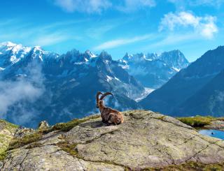 Berge © iStock / AndrijTer Berge