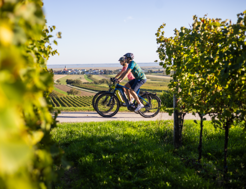 © Tourismusregion / Burgenland Tourismus / velontour.info / Heiko Mandl Burgenland – die längste Radsaison Österreichs