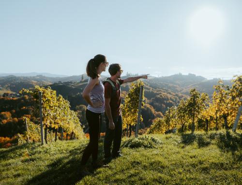 © Tourismusregion / TVB Südsteiermark / Lukas Elsneg Bereit für einen Blickwechsel