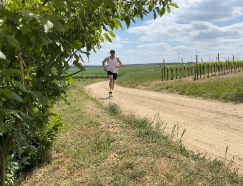 Spontan 1000 Höhenmeter: Der Salomon Ultra Glide 4 im Härtetest