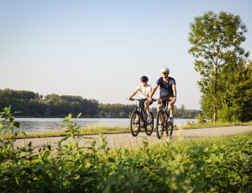 Das Kremstal entdecken – Radvergnügen zwischen Wein, Kultur und Natur