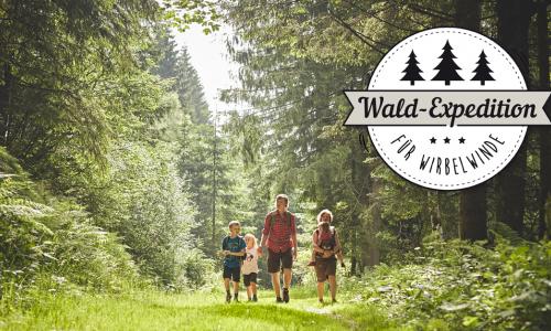 Wiener Alpen Wald-Expedition Thumbnail