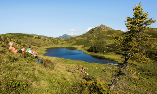Höhenwandern: Warum du es unbedingt einmal gemacht haben musst Thumbnail