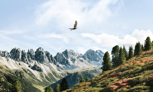 Nature-Watch-Touren: Die Natur einmal "anders" erleben Thumbnail