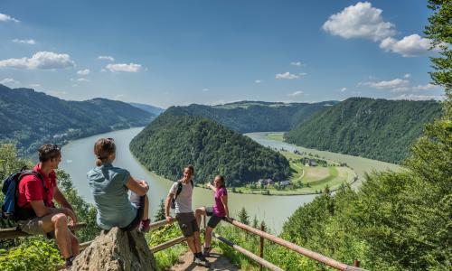 Donausteig Aussicht Thumbnail