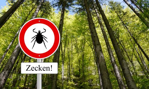 Zeckengefahr Thumbnail