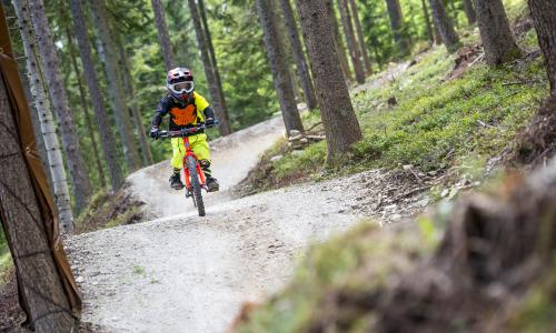 Wie Kinder Mountainbiken lernen Thumbnail