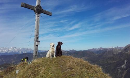 Unterwegs mit Wauwau: 5 Fragen zum Wandern mit Hund © Fotograf / Carolin Scheiter Unterwegs mit Wauwau: 5 Fragen zum Wandern mit Hund