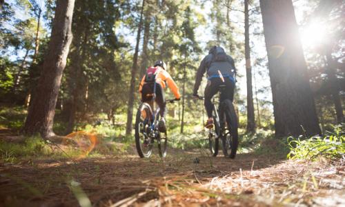 5 Dinge, die viele MTB-Neulinge nicht wahrhaben wollen Thumbnail