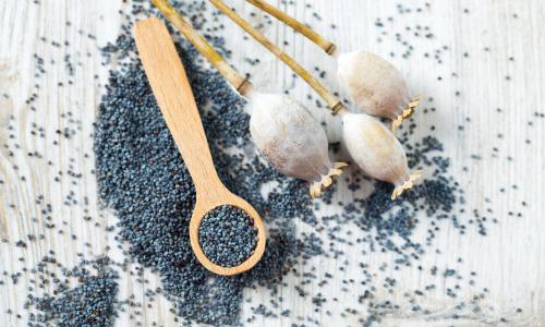 Kern-Gesund: An diesen 5 gesunden Samen und Kernen kommst du nicht vorbei Thumbnail