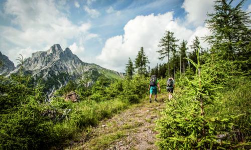 Wandern in der Wildnis: Luchstrail Thumbnail