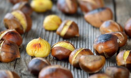 Maroni: So gesund sind die Edelkastanien wirklich © iStock / kabVisio Maroni: So gesund sind die Edelkastanien wirklich