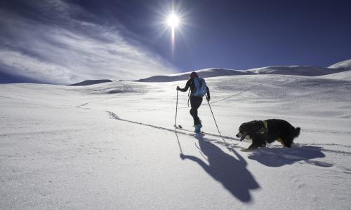 Skitourenverrückt Thumbnail