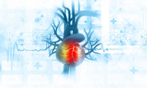 Herzensangelegenheit: Diese 5 Faktoren verursachen niedrigen Blutdruck Thumbnail