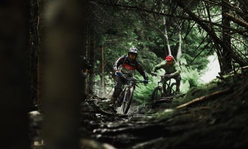 Mountainbiken Thumbnail