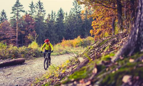 Aller Anfang ist ... leicht: 4 Mountainbike-Tipps für Einsteiger Thumbnail