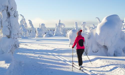 Nordischer Wintersport Thumbnail
