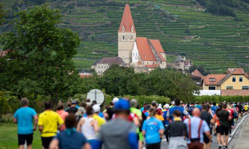Wachaumarathon 2019 © Fotograf / Benjamin Butschell Wachaumarathon 2019