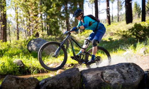 Von Frauen für Frauen: Das Intrigue Advanced 1 von Liv