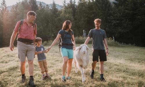 Tierisches Wandererlebnis