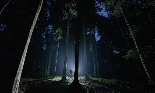 HG-Kollektion von Dainese: Für Mountainbiker mit Wettkampfgeist