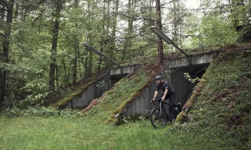 Bergamont: Die E-Bike-Highlights 2020