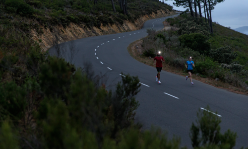 Lauflampen für Nachtaktive: Neue NEO-Serie von Ledlenser sorgt für mehr Sicherheit